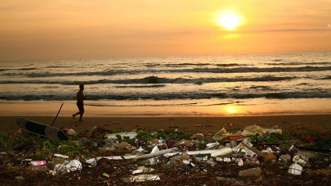 rifiuti, spiaggia, ecologia, riciclare, museo