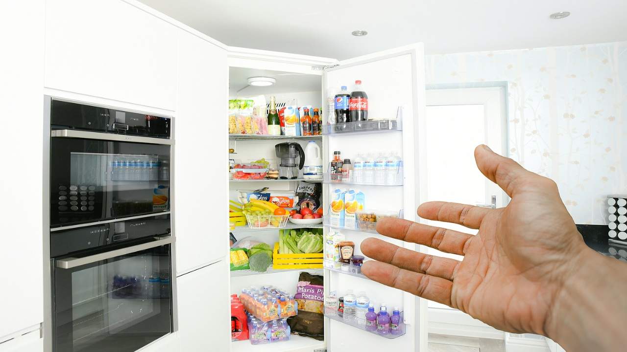 avete mai notato il foto all'interno del frigo? scopriamo a cosa serve