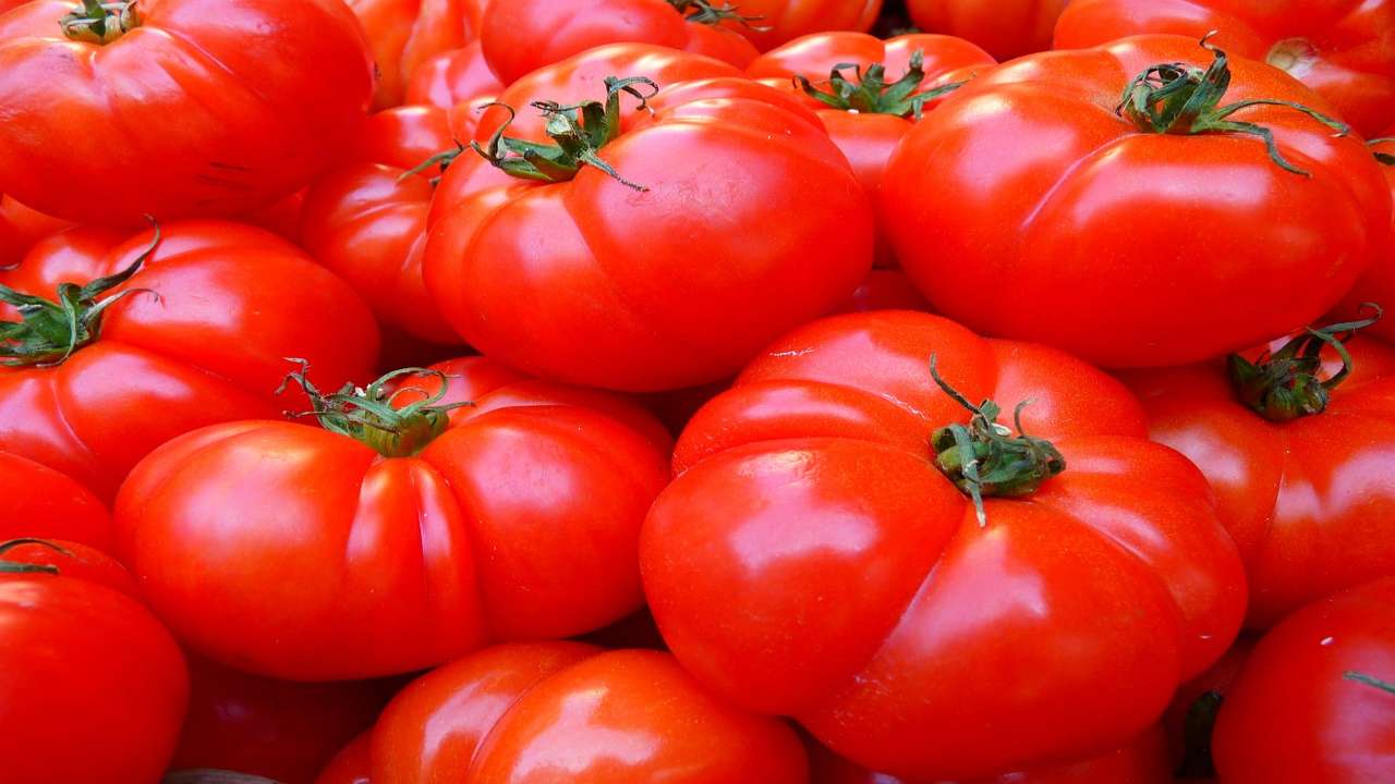 prova lo scotch sui pomodori: non te ne pentirai