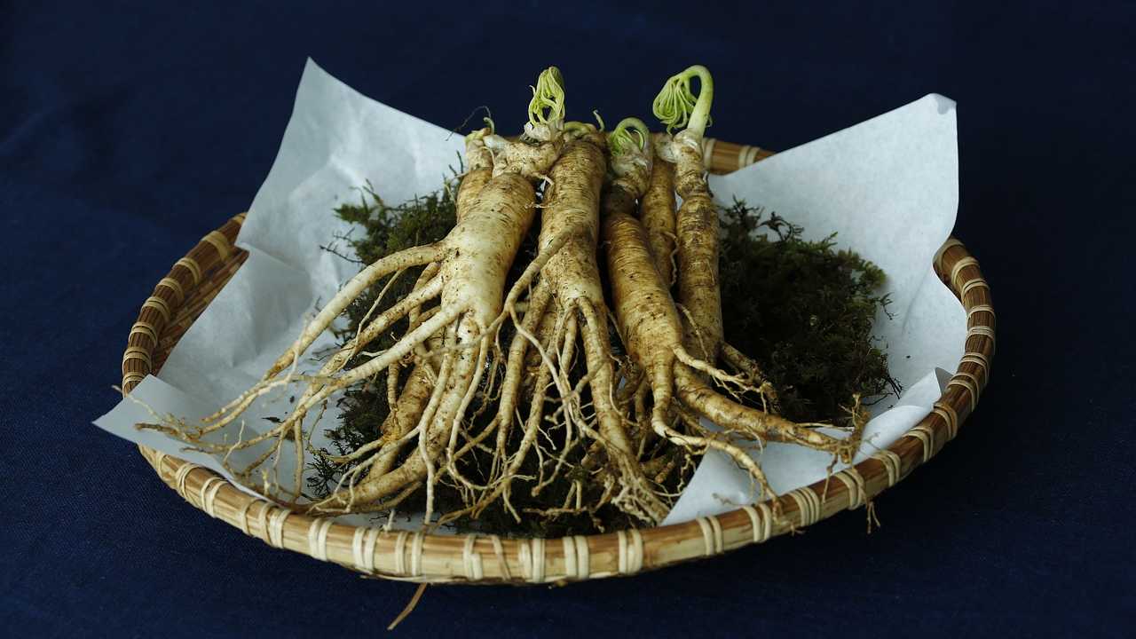 Ginseng caratteristiche