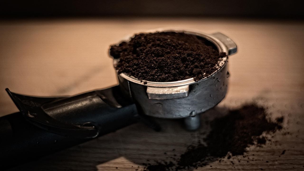 fondi di caffè ideali per la cura delle piante