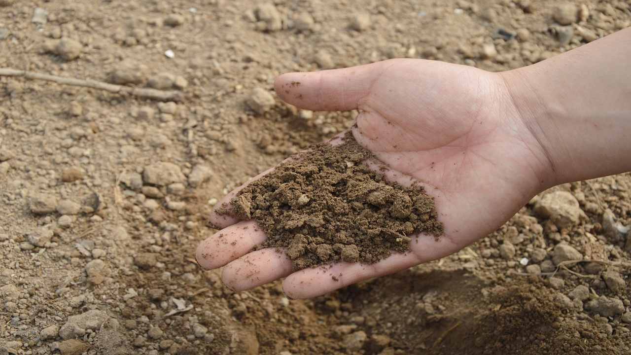 ferilizzante naturale terra