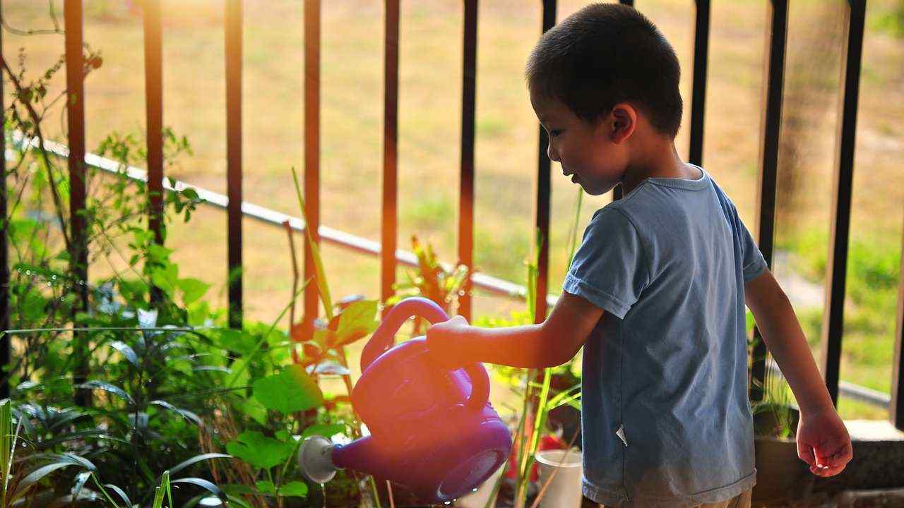 Bambino innaffia piante benefici