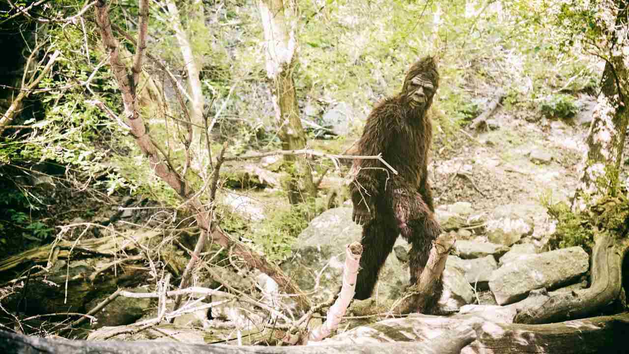 mistero Bigfoot