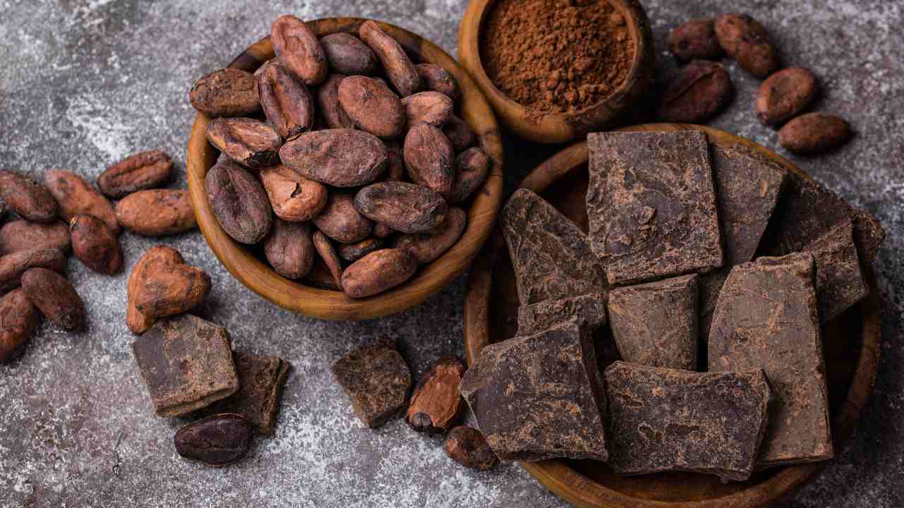 Cacao causa deforestaziione motivi