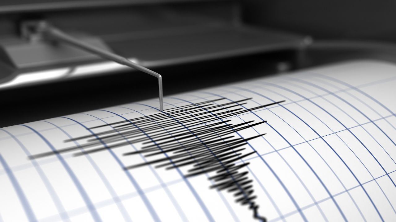 animali percepiscono terremoti