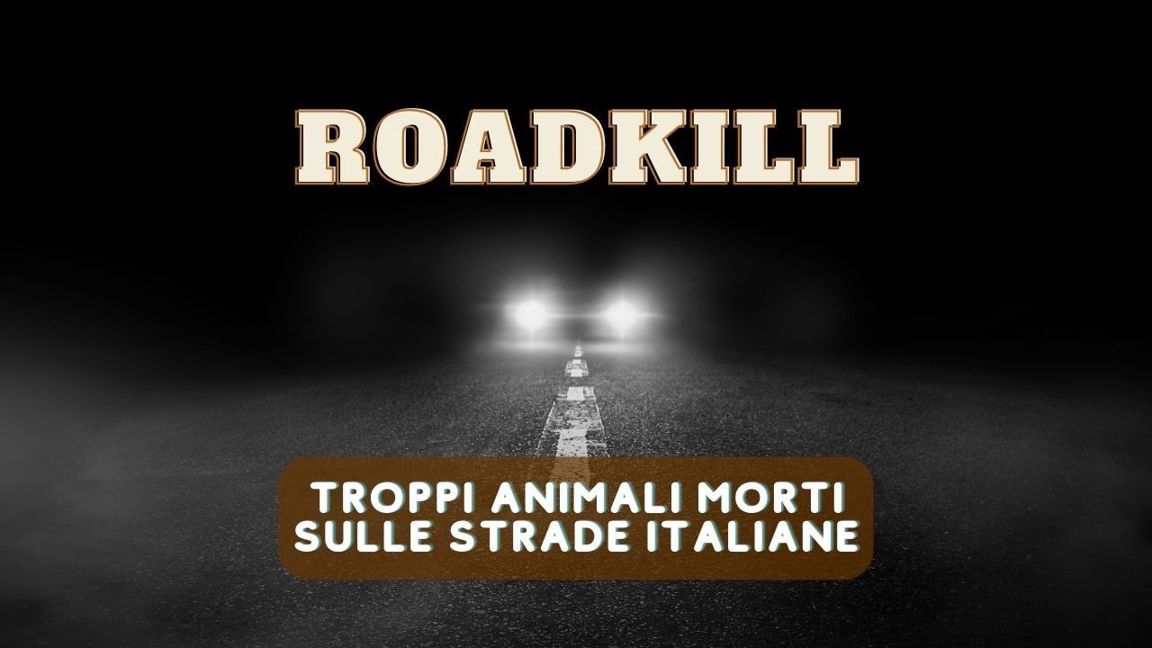 animali morti strade italiane