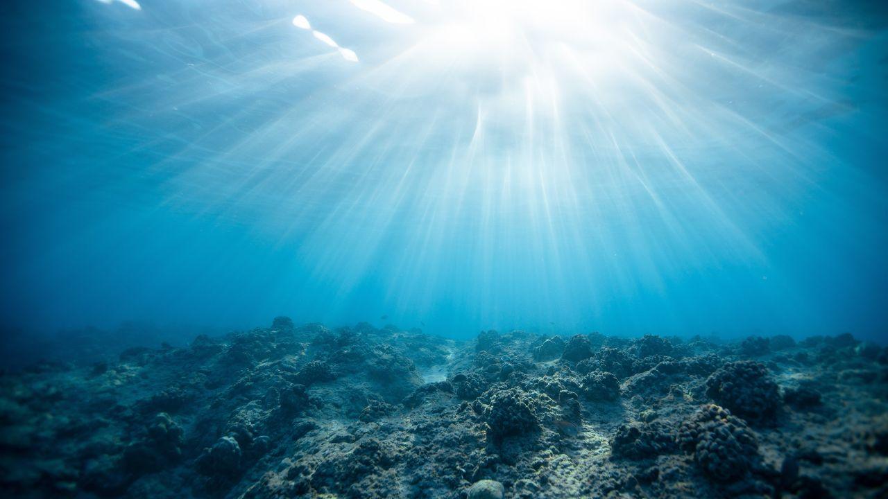 Oceano trattative onu protezione