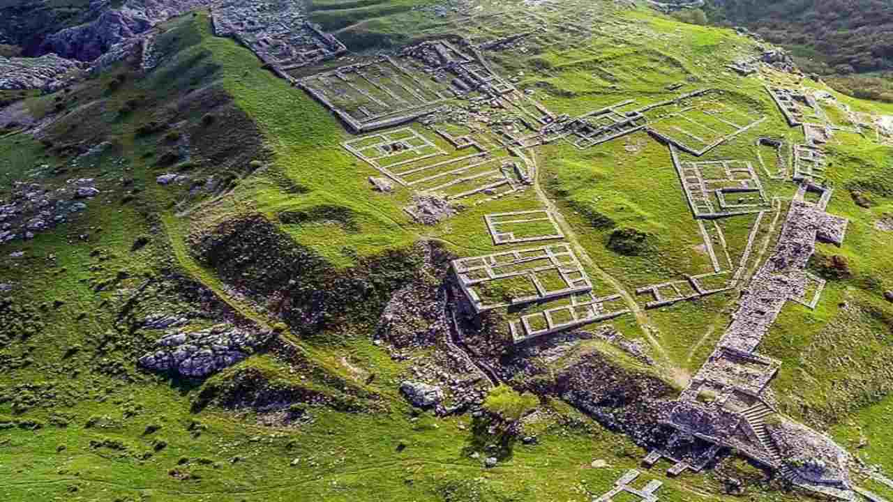 alberi millenari prova crollo impero Ittita