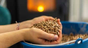 Non disfartene, la cenere del pellet può valere oro: devi solo fare questo