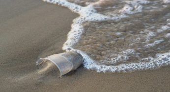 Stop alla plastica, come poterne diminuire l’utilizzo nel piccolo di tutti i giorni