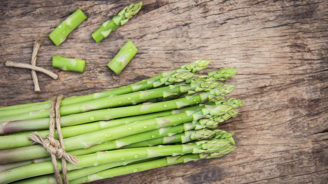 asparagi coltivazione casalinga