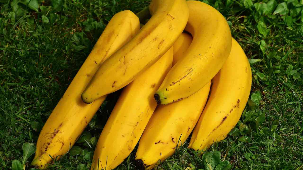 Interra una banana nel terreno