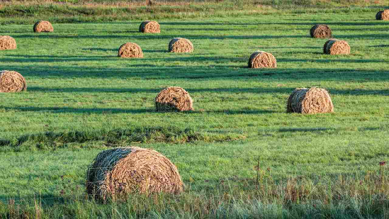 acquista terreno agricolo perchè conviene