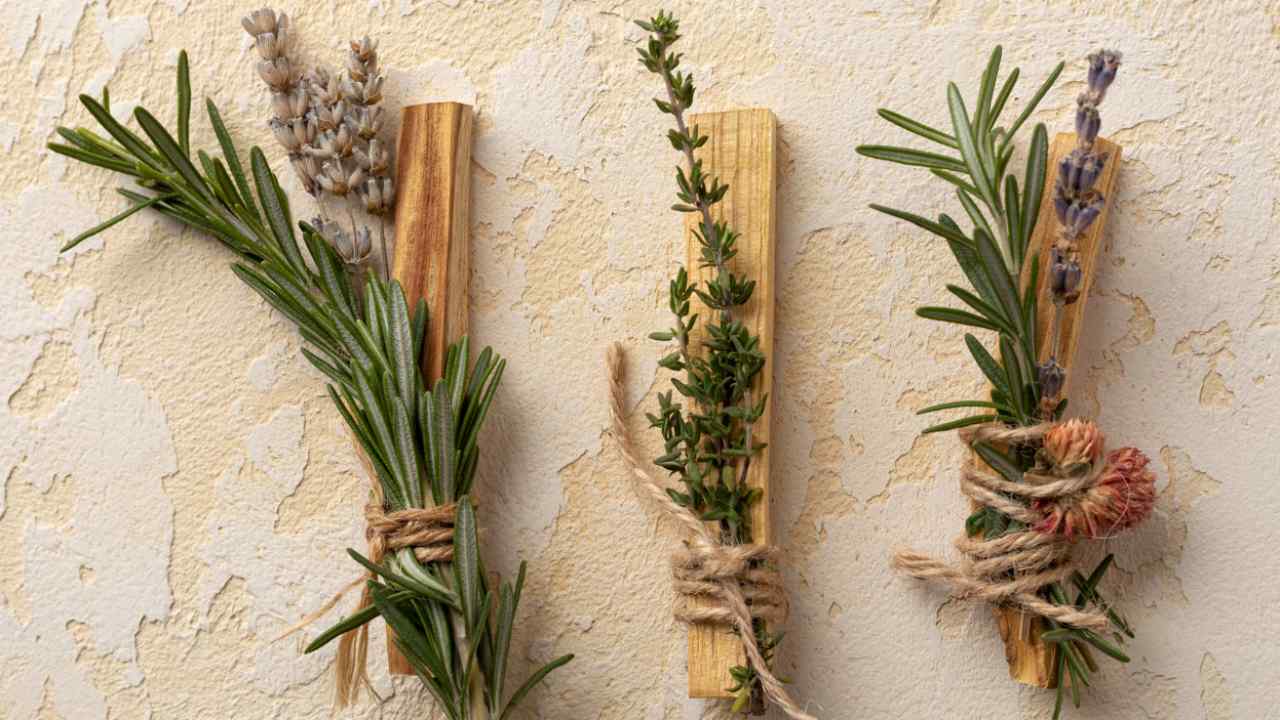 piante aromatiche hanno bisogno spazio puoi crearlo casa