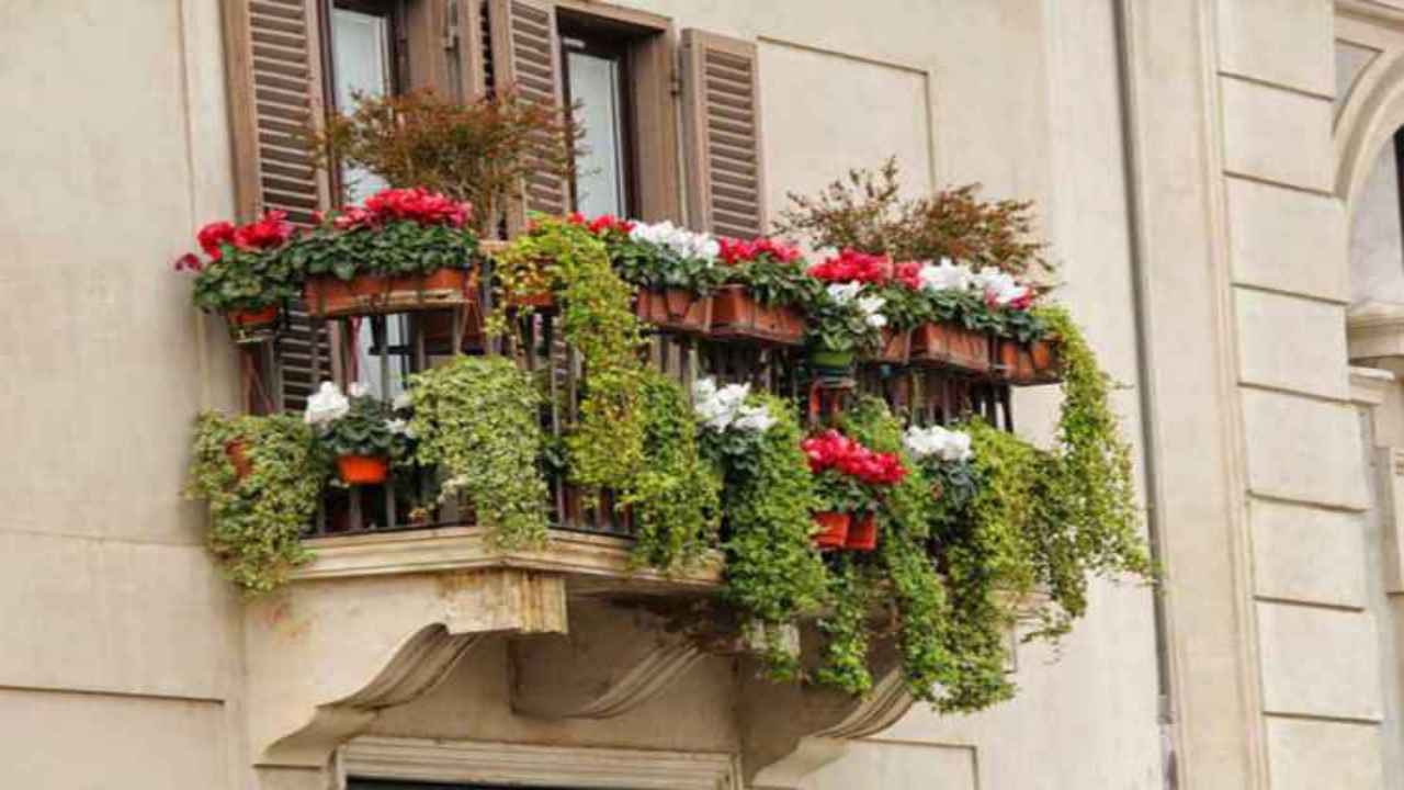 balcone fiorito verde