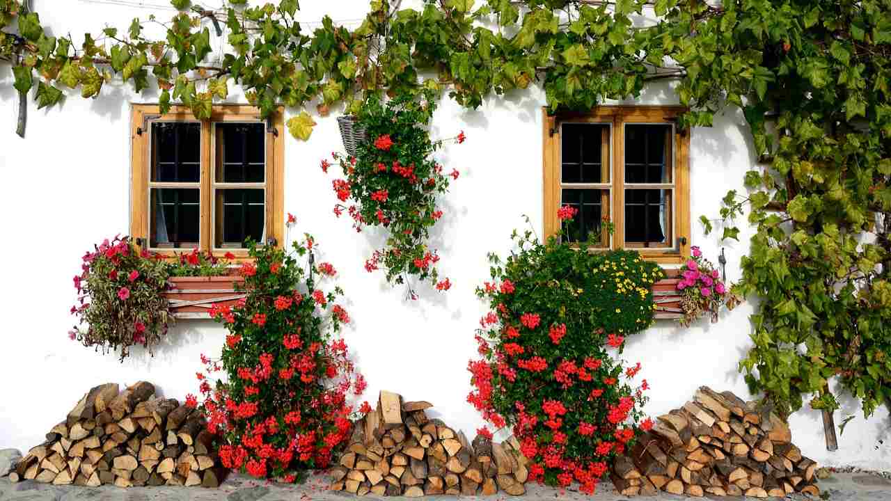 regolamenti per piante e fiori che si sporgono troppo dal balcone