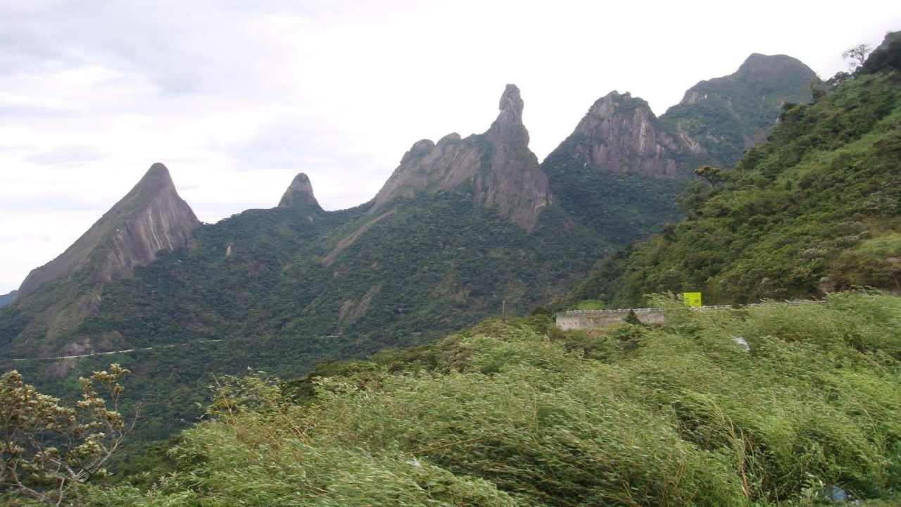 foresta atlantica popolazioni indigene riforestazione