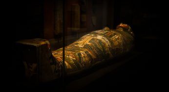 Mummia del ragazzo d’oro: rivelati i segreti dell’antico Egitto