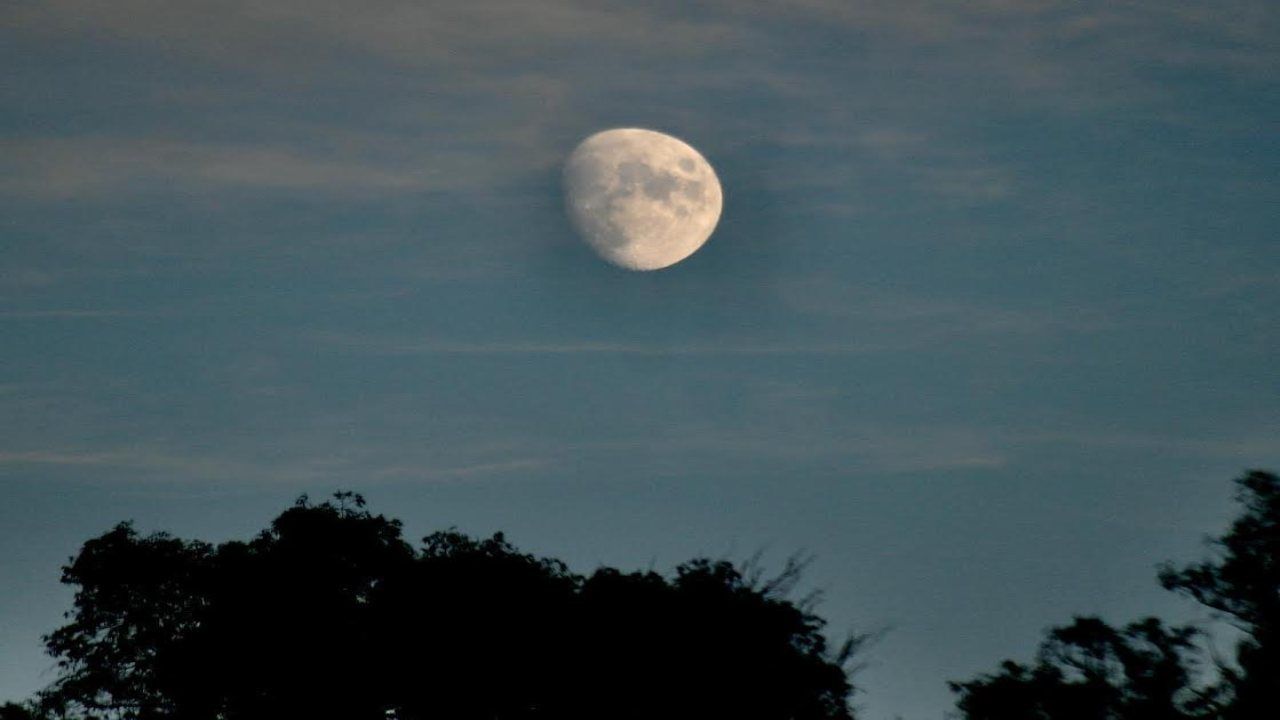 terra senza luna difficile vita