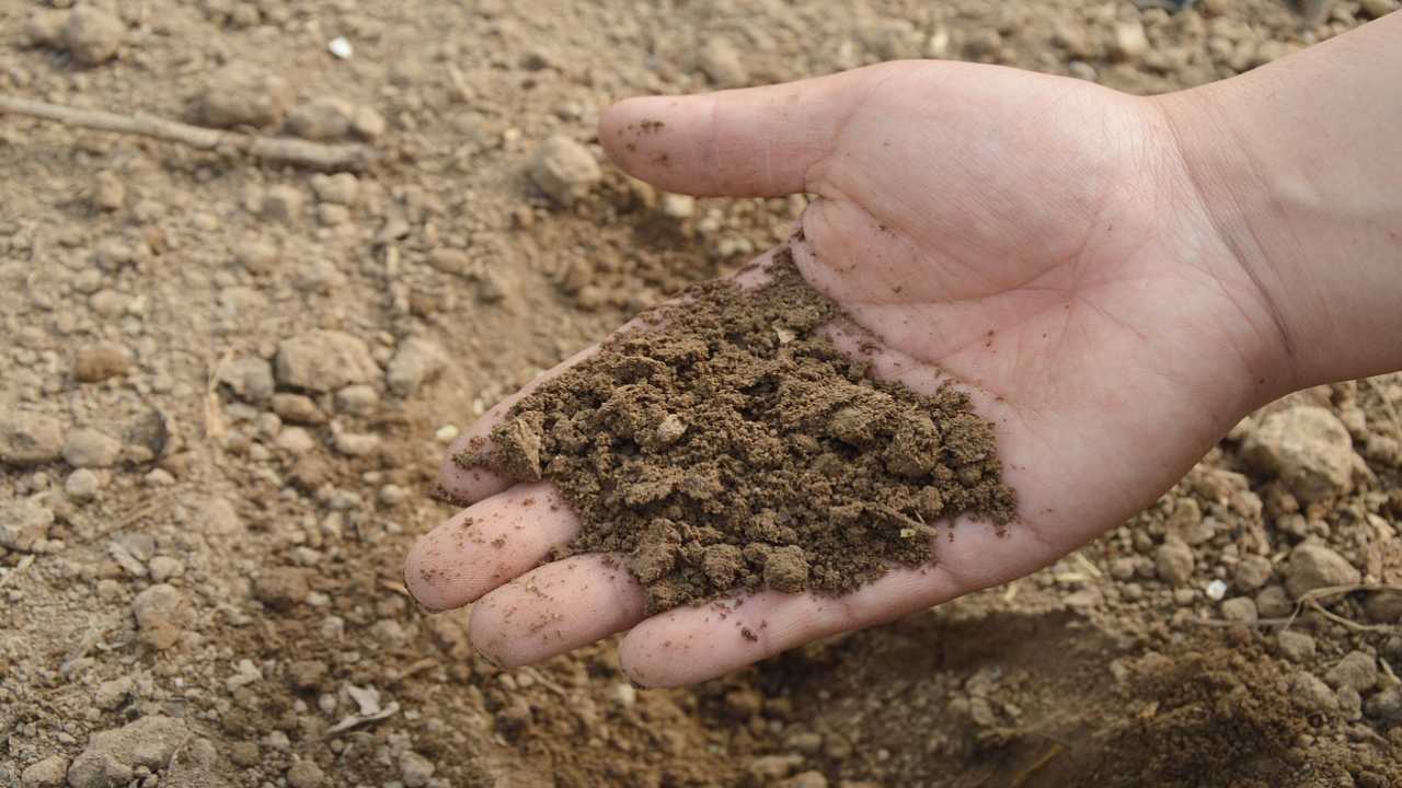 arriva primavera prepara il terreno tuo giardino