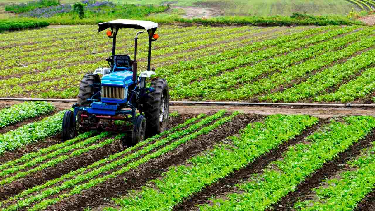 siccità Puglia rischio semine