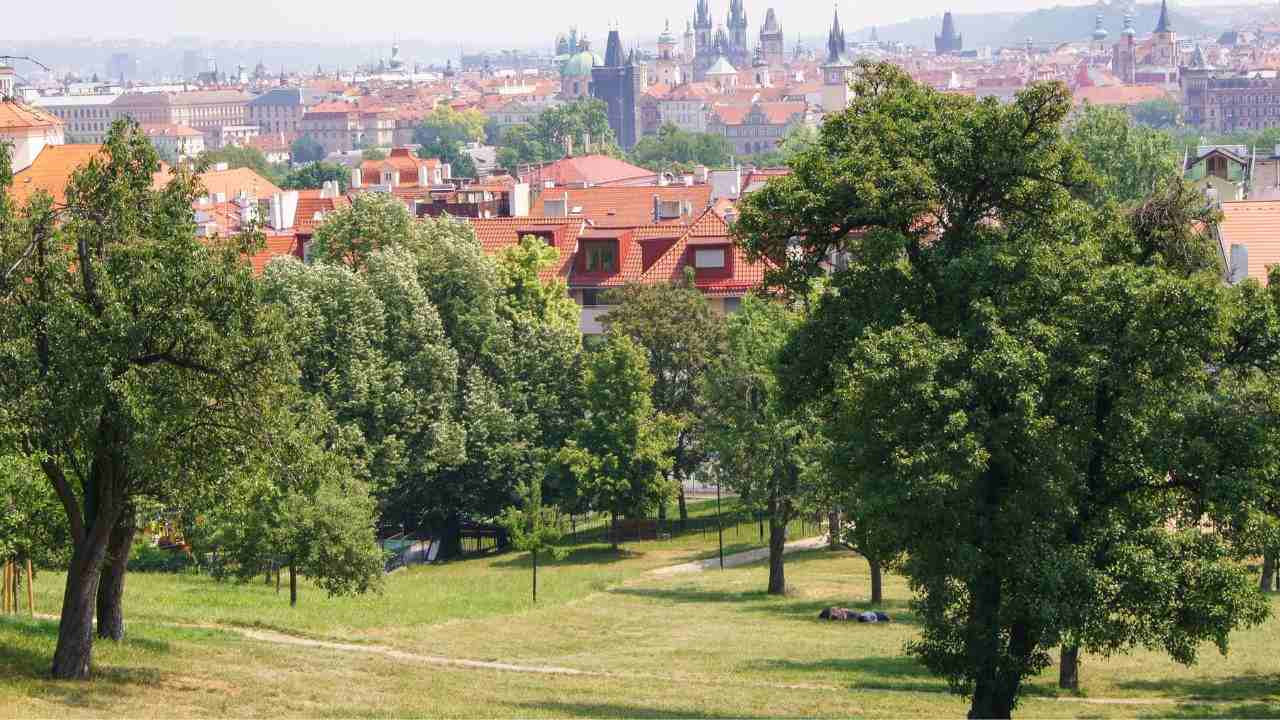 Alberi ripuliscono città inquinamento lista