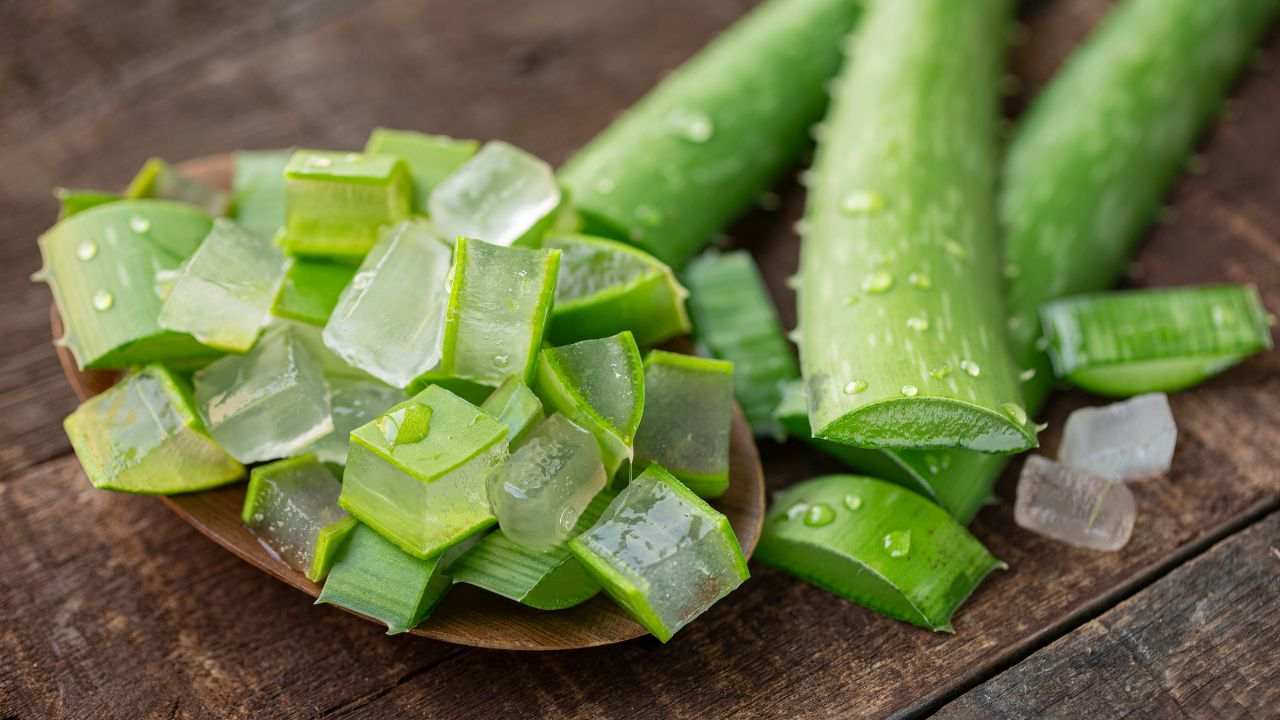 Aloe vera usi sconosciuti