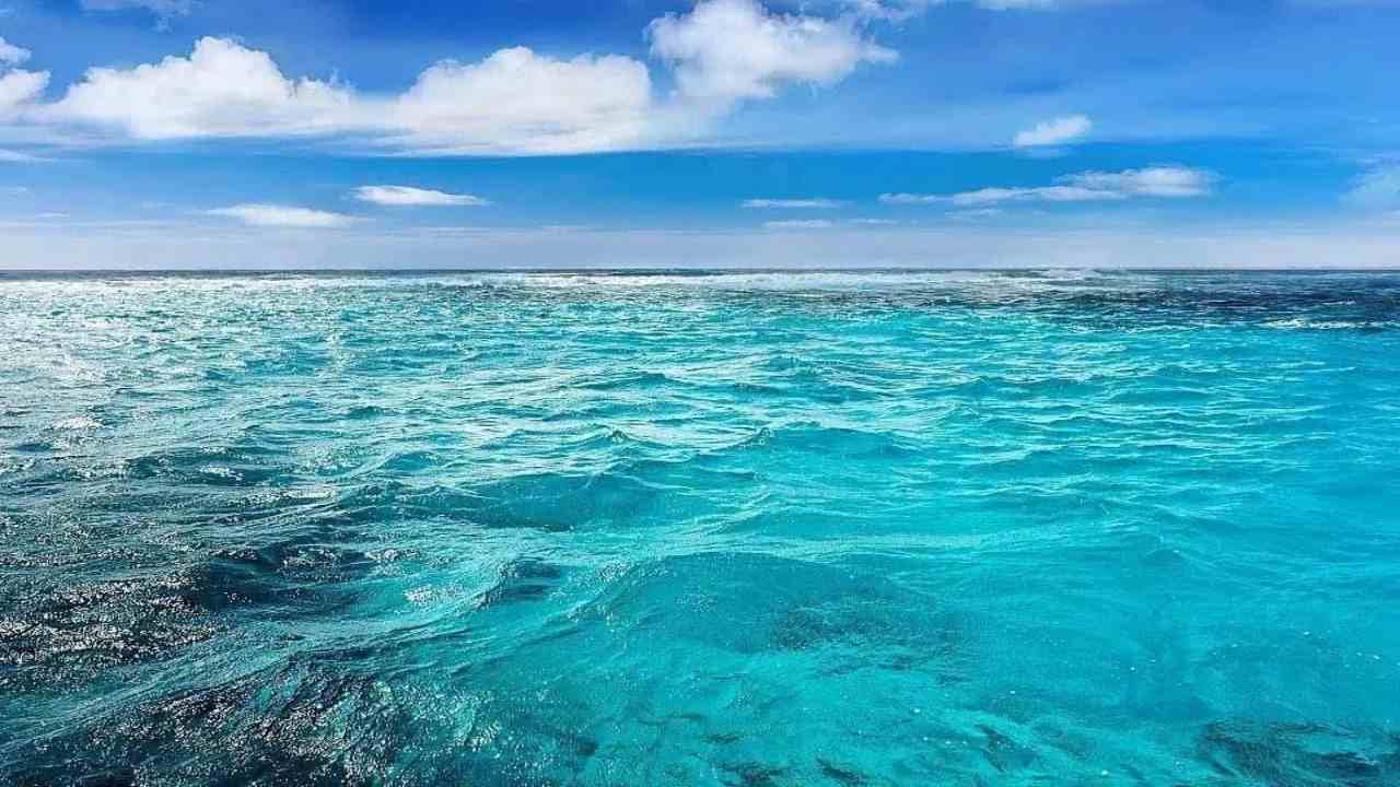 Alto Mare nuova area protetta trattato ONU