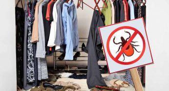 Acari sui vestiti, non si vedono ma ci sono: come eliminarli