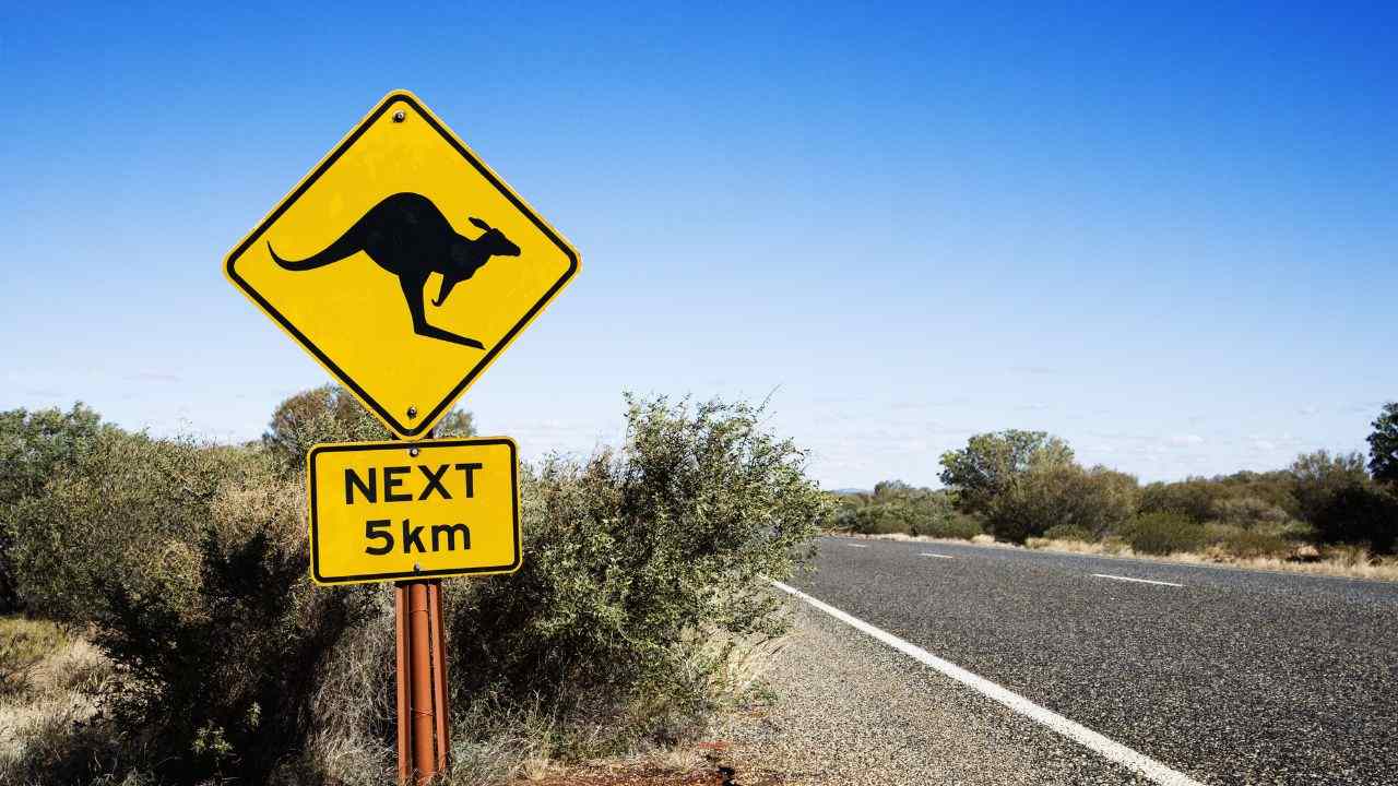 Animali fuori pericolo estinzione Australia