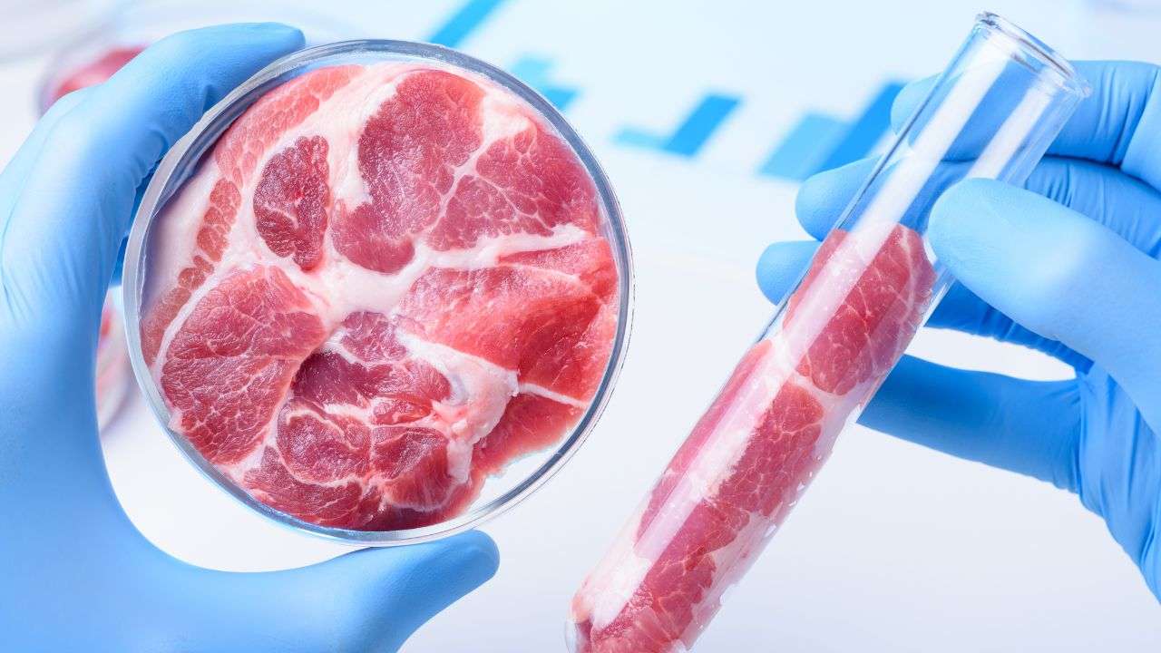 Carne naturale e carne sintetica