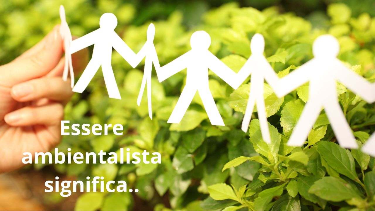 cosa significa ambientalista