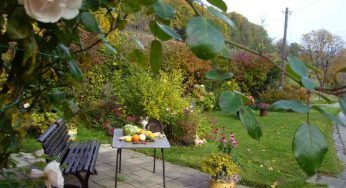 Il tuo giardino sarà perfetto, trucchi infallibili da seguire tutto l’anno