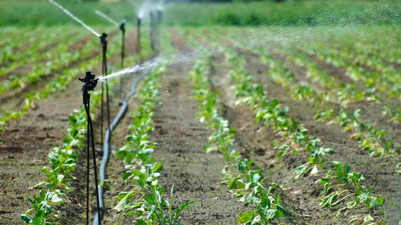 sensori umidità azzeramento sprechi acqua