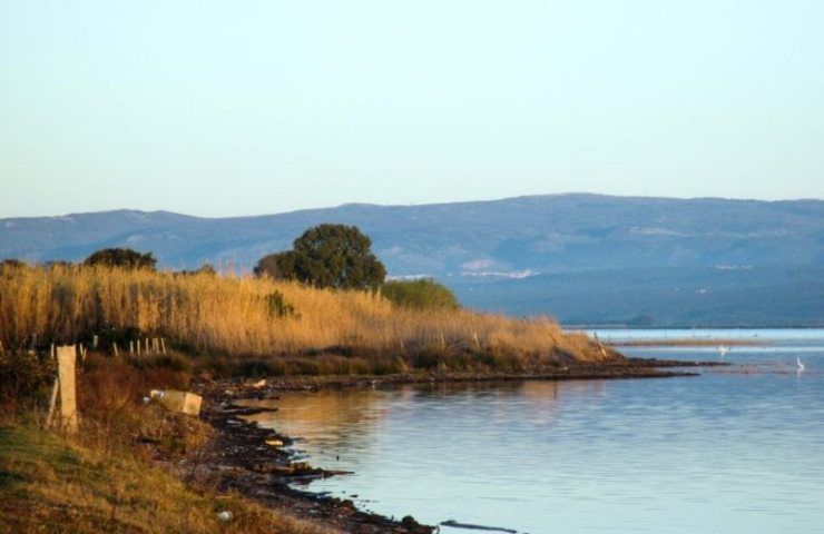 laghi di lesina e varano situazione