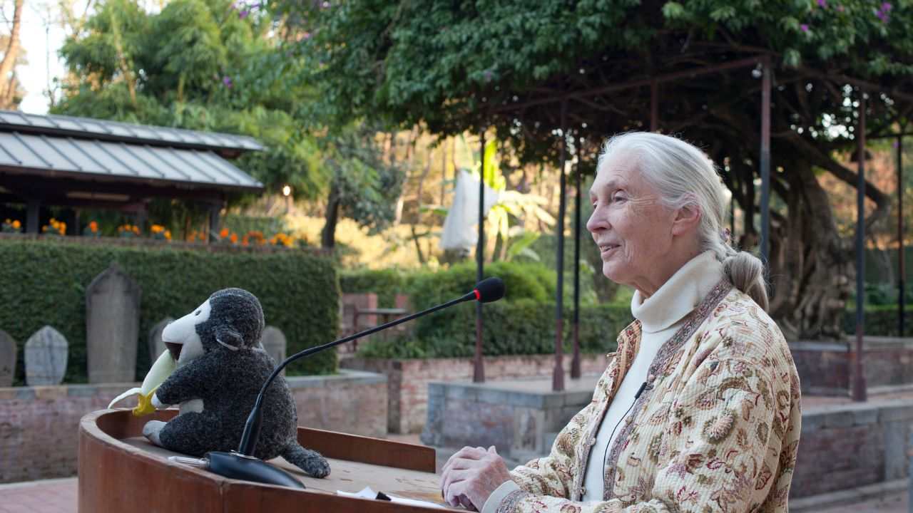 donne coraggiose salvezza natura