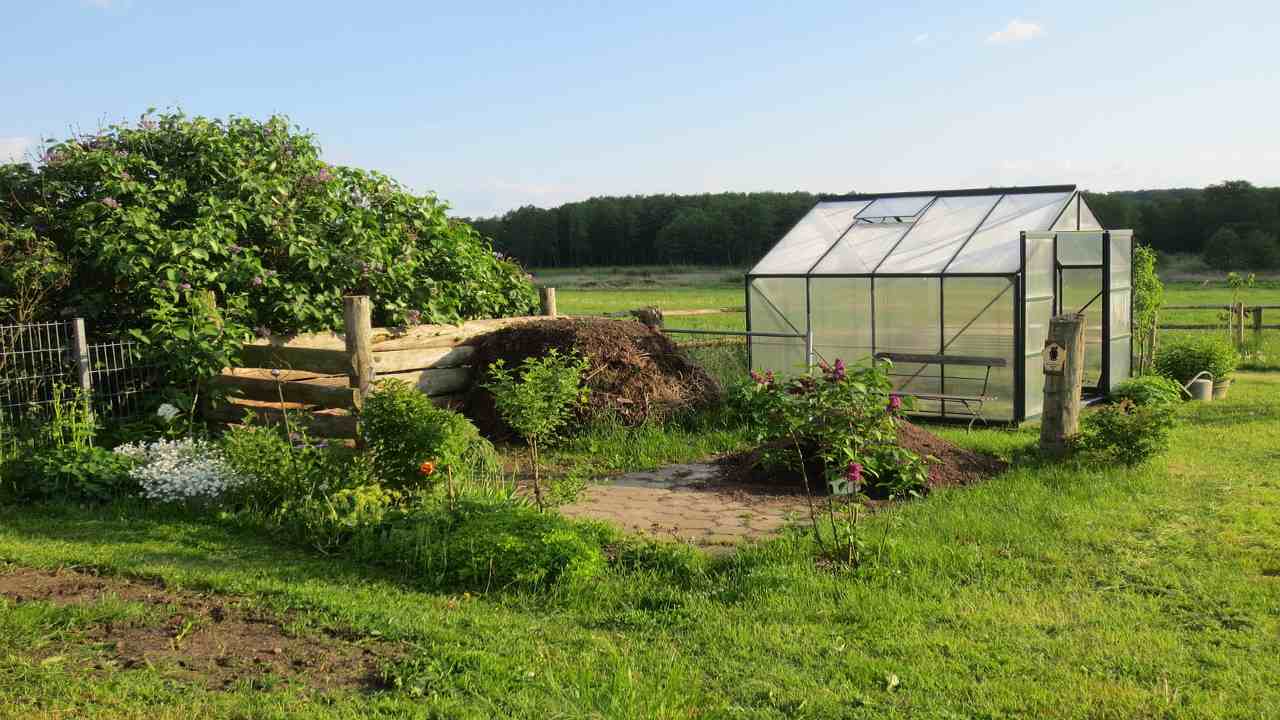 primavera orti piante coltivare