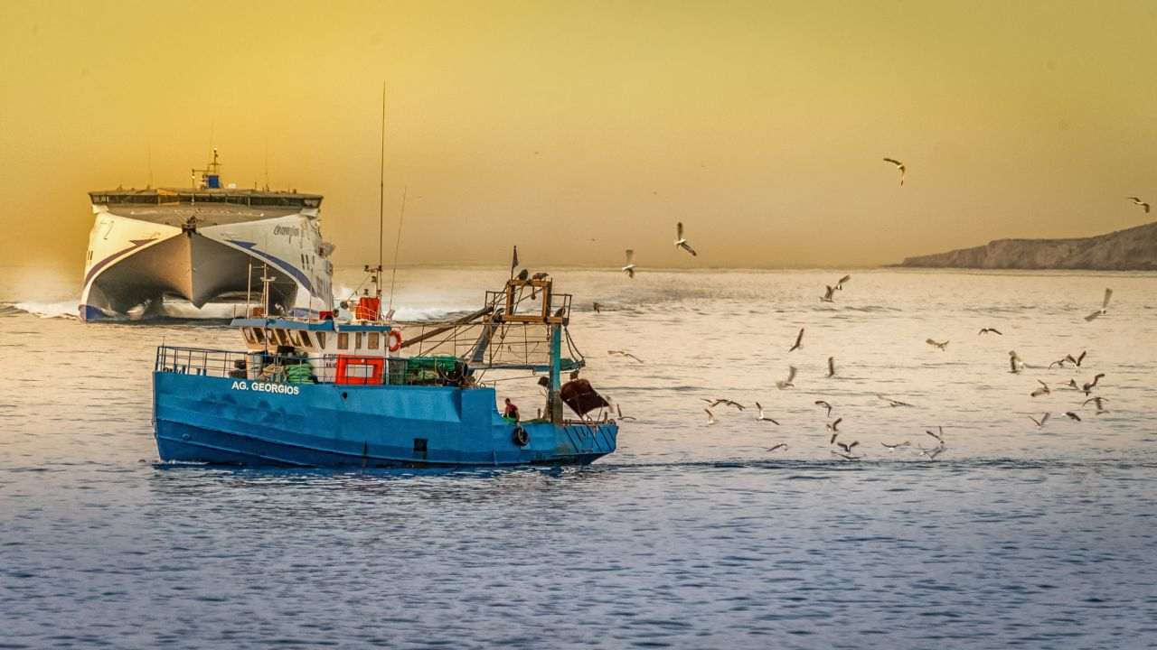 Arcobaleno Onu problemi pesca