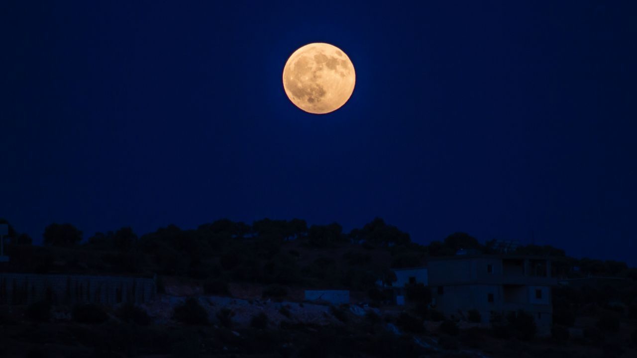 luna verme primavera