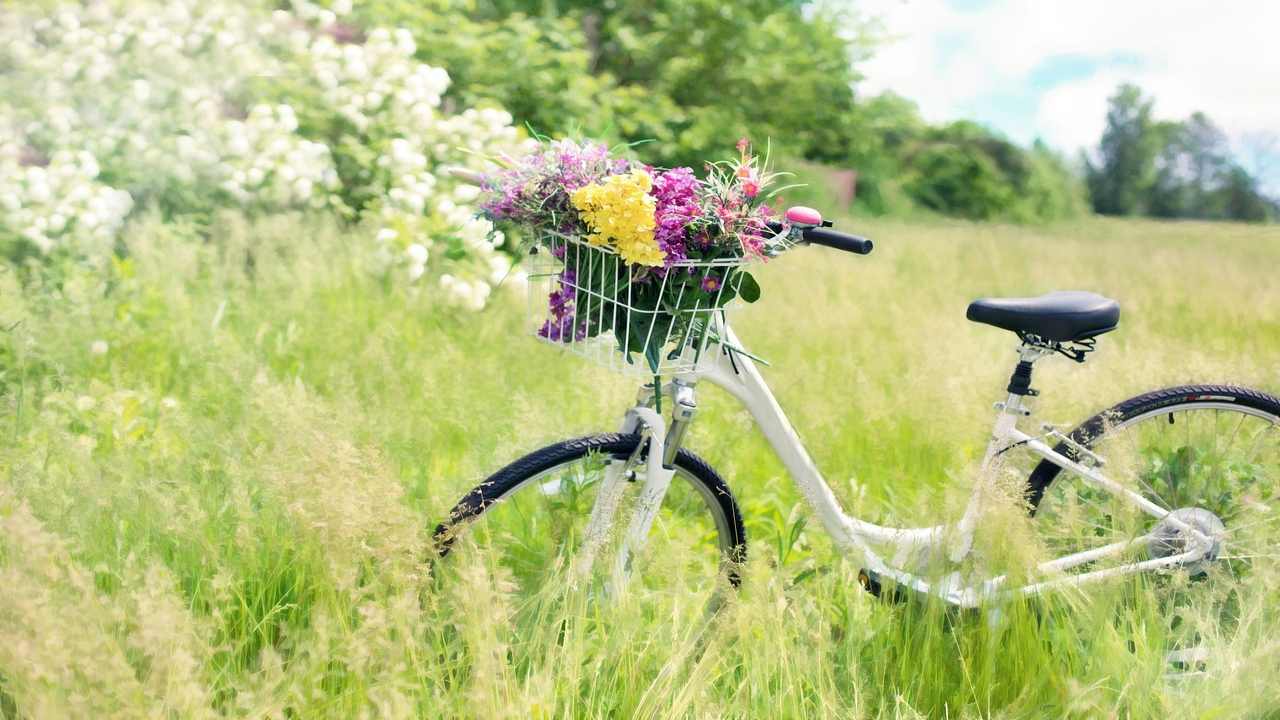 quando inizia la primavera