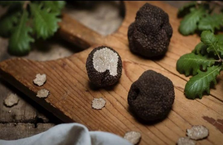 che cos'è il tartufo estivo