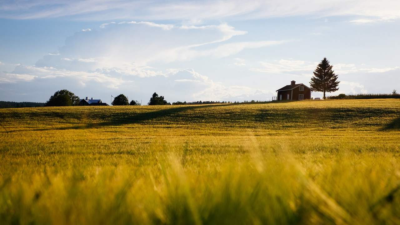 terreni agricoli affitto problemi sud italia