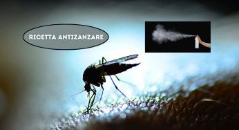 Crea il tuo antizanzare, l’antica ricetta naturale spopola sul web