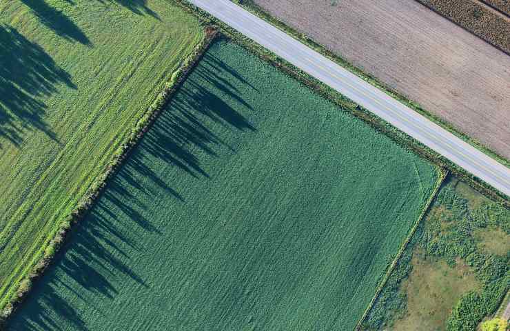 Terreni agricoli ecco quanto costano