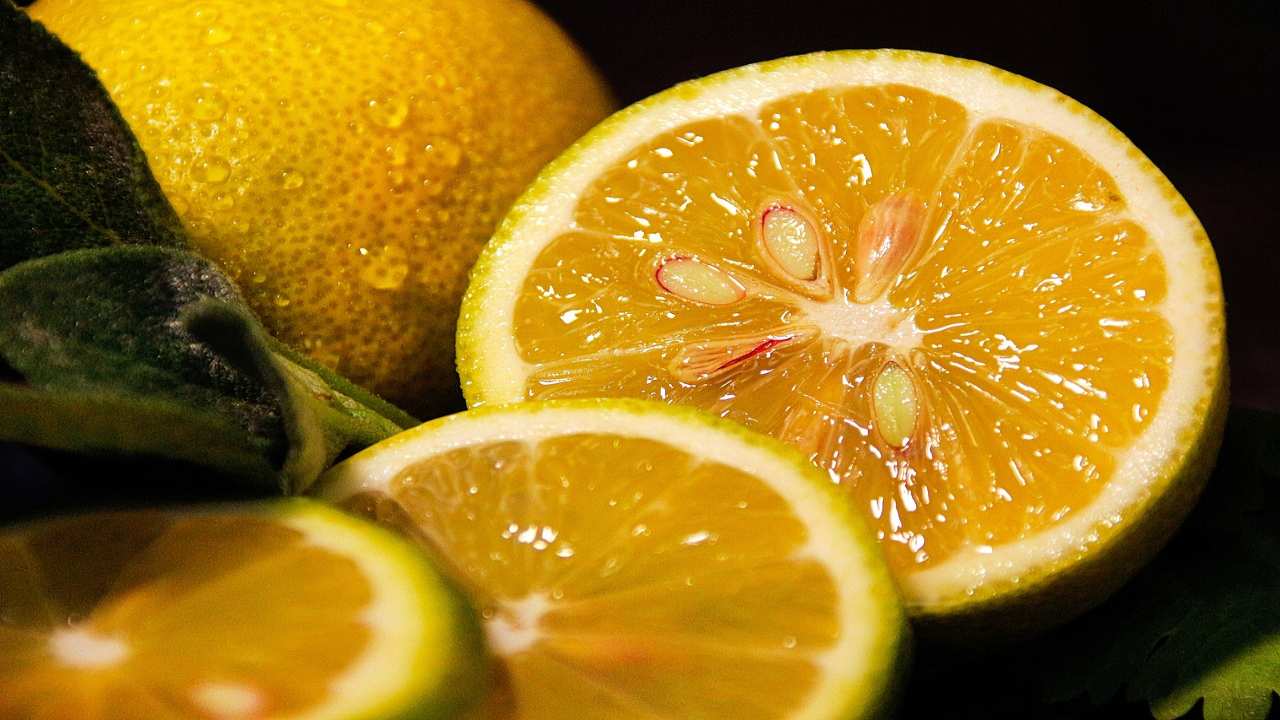 limoni, tutti i consigli per potatura e eliminazione dei succhioni