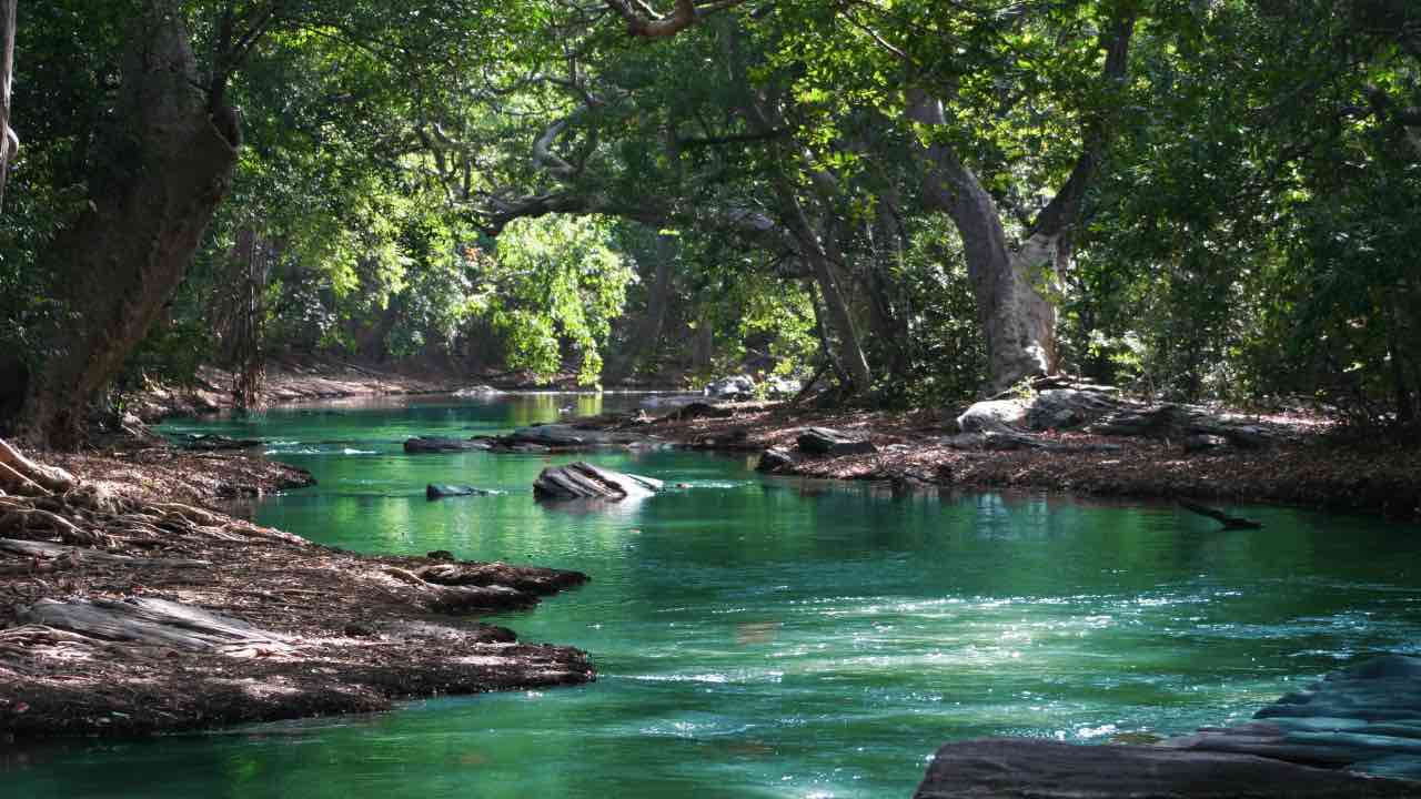 fiumi agricoltori corsi d'acqua