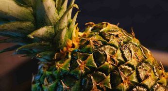 Nell’ananas si nasconde la bromelina: a cosa serve
