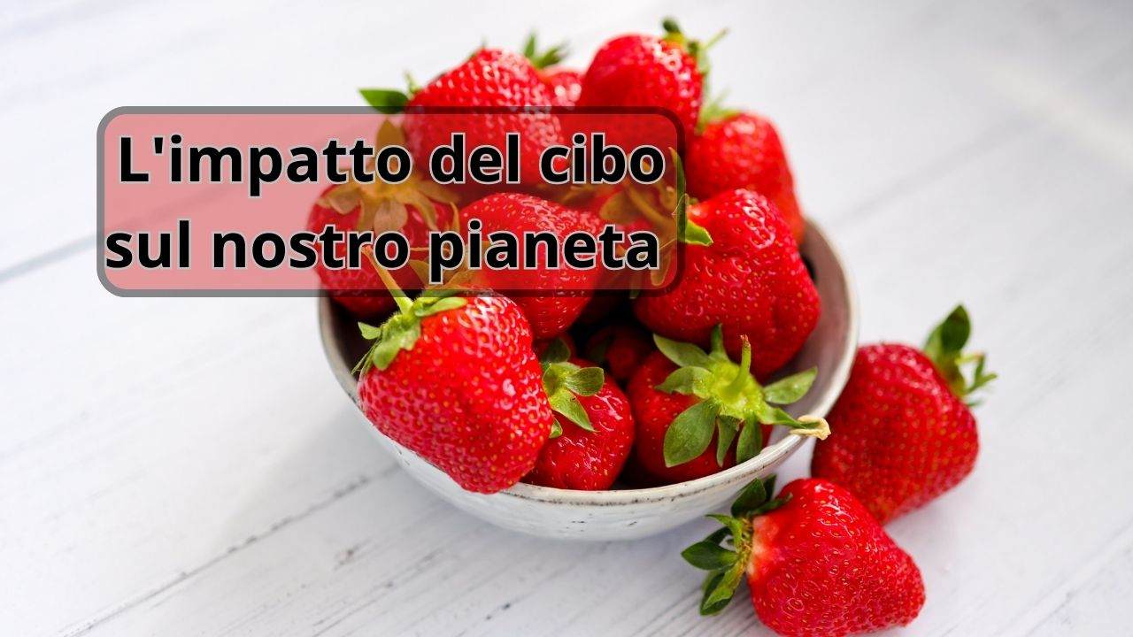 costo fragole impatto ambientale