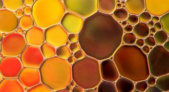 Olio d’oliva, se ha questo colore è il caso di preoccuparsi: non consumarlo!